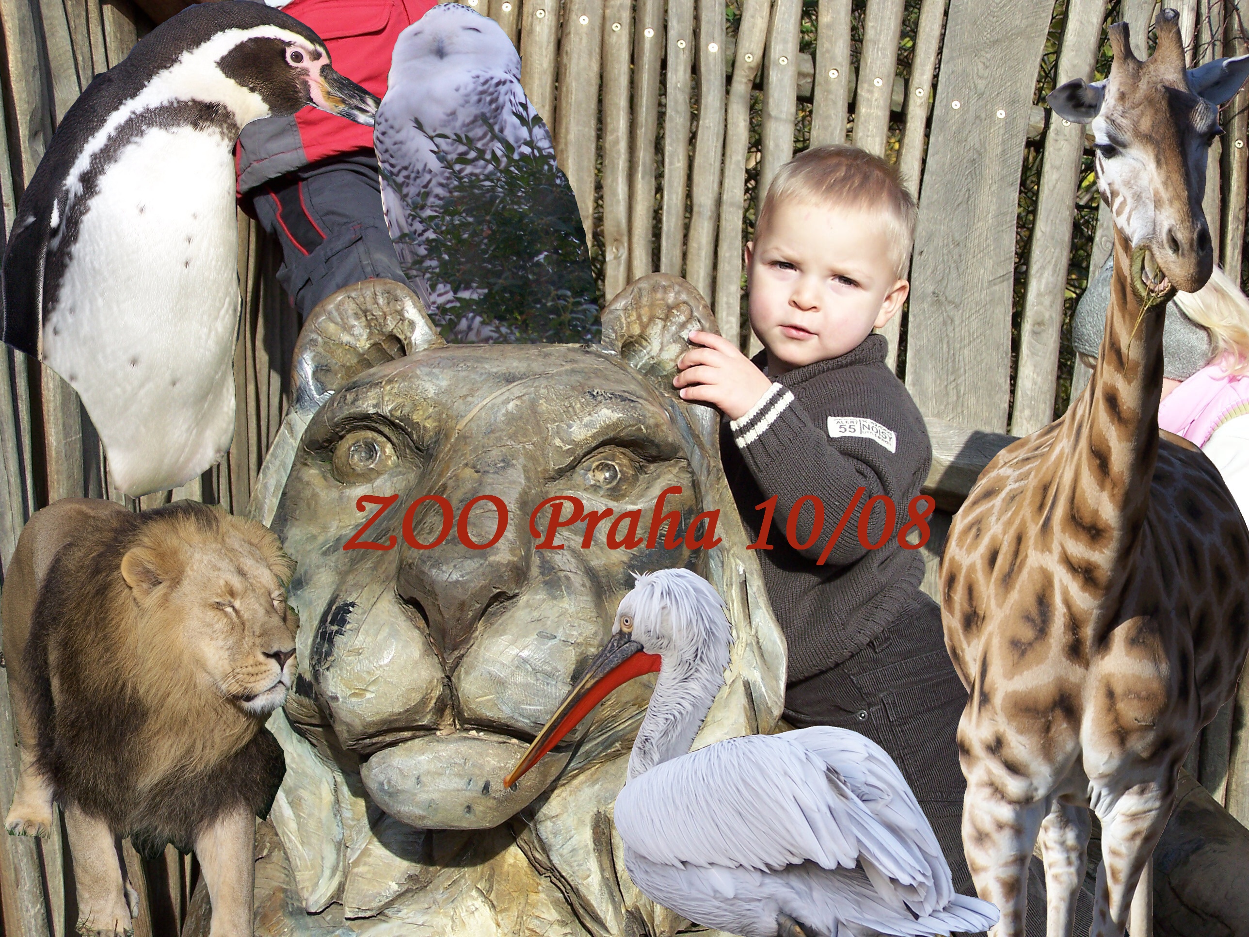 LUKášek ZOO.jpg