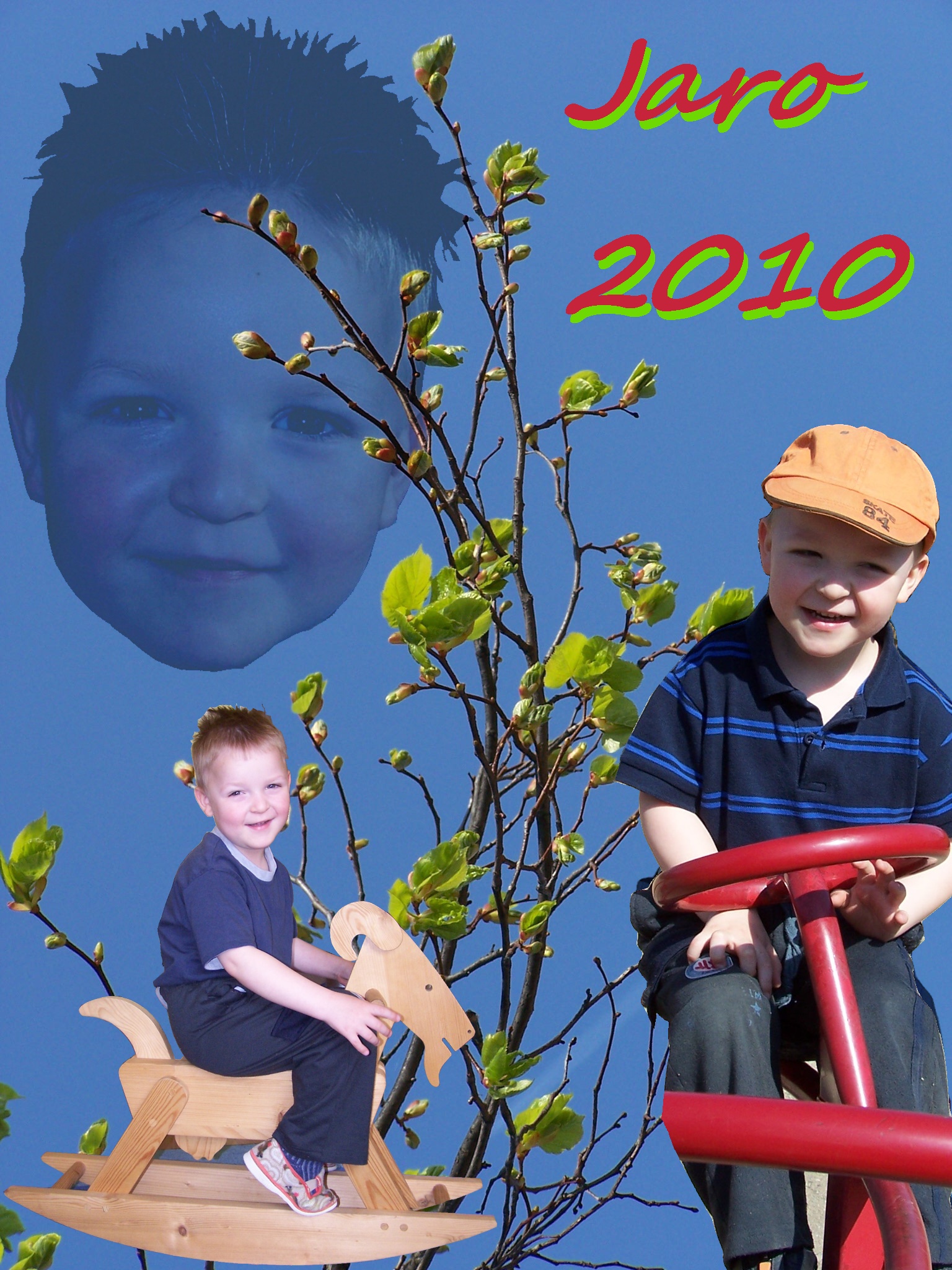 Jaro 2010